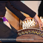 koto_concert_wentworth_falls_45