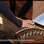 koto_concert_wentworth_falls_47