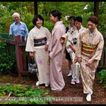 leura_tea_ceremony_06