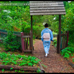 leura_tea_ceremony_64