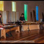 koto_tea_wentworth_falls_019