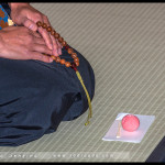 Winter Tea Gathering, Chakai, Japanese Tea Ceremony, RBG, 2016, Sydney, Australia