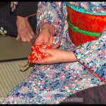 Winter Tea Gathering, Chakai, Japanese Tea Ceremony, RBG, 2016, Sydney, Australia