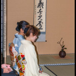 Winter Tea Gathering, Chakai, Japanese Tea Ceremony, RBG, 2016, Urasenre, Sydney, Australia