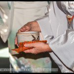 Winter Tea Gathering, Chakai, Japanese Tea Ceremony, RBG, 2016, Urasenre, Sydney, Australia