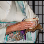 Winter Tea Gathering, Chakai, Japanese Tea Ceremony, RBG, 2016, Urasenre, Sydney, Australia