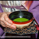 Winter Tea Gathering, Chakai, Japanese Tea Ceremony, RBG, 2016, Urasenre, Sydney, Australia