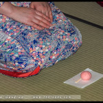 Winter Tea Gathering, Chakai, Japanese Tea Ceremony, RBG, 2016, Urasenre, Sydney, Australia