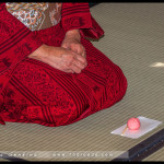 Winter Tea Gathering, Chakai, Japanese Tea Ceremony, RBG, 2016, Urasenre, Sydney, Australia